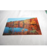 Vintage Postcard unposted Cedar Run Pennsylvania Lake fall nature 1950s - $6.00