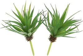 Yucca Vera Greenhouse Small Plants Unpotted For Home Garden Decoration By Ljy In - £28.89 GBP
