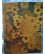 Vintage HyTone Daisy Print Portfolio 1970s - $1.99