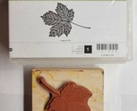 Stampin’ Up Magnificent Maple Leaf Stamp Fall Used - £7.95 GBP