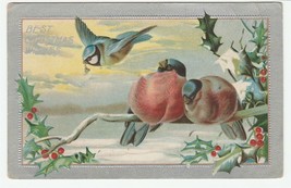 Vintage Postcard Christmas Birds on a Branch Holly Silver Border Embossed Unused - $6.92