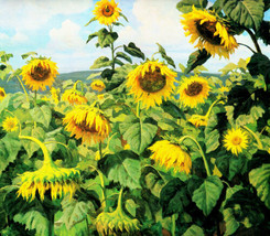 Wall art Sunflower Oil painting HD printed canvas Giclee - £11.13 GBP+