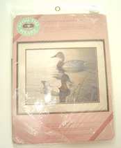  From the Heart CanvasBack Ducks  Printed Cross Stitch 18 X 14 Vintage NIP - £15.84 GBP