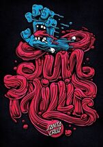 Santa Cruz Skateboards 12x8in Inches Aluminum Metal Sign Collage Thrashe... - $34.72 CAD