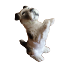 Sitzendorf German Porcelain Figurine Fox Terrier Schnauzer Dog Puppy 5.75&quot; - £39.91 GBP