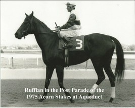 1975 - RUFFIAN in Post Parade of the Acorn Stakes at Aqueduct Park - 10&quot; x 8&quot; - £15.80 GBP