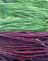 AQL 100 Of Vigna sinensis Seeds Yard Long Bean Mixed Red and Green Color - £8.41 GBP