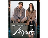 Because of Love (2022) Chinese Drama - $69.00