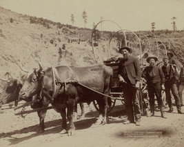 Gold prospectors with wagon in the Black Hills of South Dakota 1889 Phot... - £7.04 GBP+