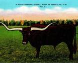 Texas Longhorn Steer Cow 9 foot 6 inch Horns UNP Linen Postcard A3 - £2.42 GBP