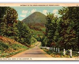 Gateway To Verde Palazzi Williamsport Pennsylvania Pa Unp Lino Cartolina... - $3.03