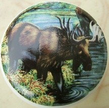 Ceramic Cabinet Knobs Moose #6 WILDLIFE - £3.55 GBP