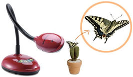 Item image 7