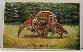 Until Thanksgiving do us Part, Bride Groom Turkeys Embossed Gilded Postcard F12 - £9.42 GBP