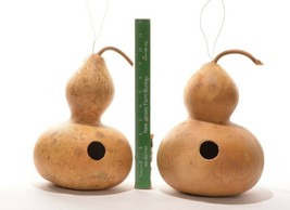 BStore 19 Seeds Birdhouse Bottle Gourd Seeds Native Heirloom Vine Crafts... - $8.59