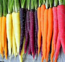 200++ Organic Rainbow Blend Mix Carrot Seeds | Heirloom | Fresh Garden Seeds - £1.87 GBP+