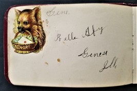 1887 Antique Autograph Album Geneseo Ill Allen Eugene Aby Victorian Die Cuts - £98.88 GBP