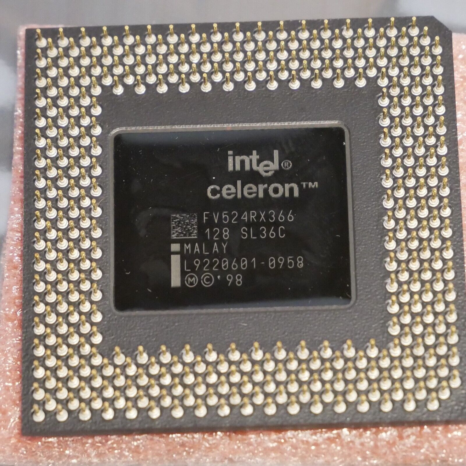 Intel Celeron SL36C 366MHz 128KB 66 MHz FSB CPU FV524RX366- Tested 01 - $14.01
