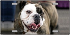 Bulldog Photograph Metal Novelty Car License Plate Auto Tag - £7.78 GBP