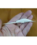 Whale-w127 little white Narwhal Whale of shed ANTLER figurine Bali sea u... - $2,164.42 MXN