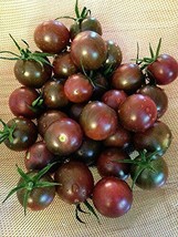 Seeds 100 Black Cherry Tomato Seeds Heirloom Grow Easy - £5.67 GBP
