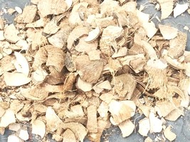 Natural Coconut Shell Chips - Eco Mulch, Craft &amp; Reptile Bedding, Sustai... - $202.80 MXN