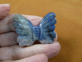 (Y-BUT-550) Blue gray sodalite BUTTERFLY stone figurine gemstone butterf... - $18.69