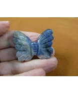 (Y-BUT-550) Blue gray sodalite BUTTERFLY stone figurine gemstone butterf... - $18.69