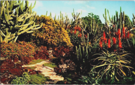 Postcard Moir&#39;s PaU A-Laka Gardens Cactus Succulents 2000 Plants5.5 x 3.5 ins. - £4.69 GBP