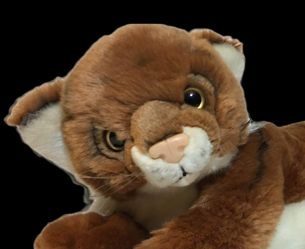 Item image 3