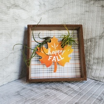 Fall Decor Plaque, live air plants, Wooden shadow box, autumn leaf "Happy Fall" image 6
