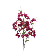 Blossom Floral Branch (Set of 4) - 588740 - $89.14 CAD