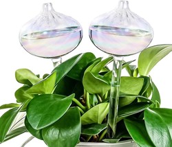 2PCS Plant Self Watering Globes Self Watering Onion Ball Design NEW - £14.79 GBP