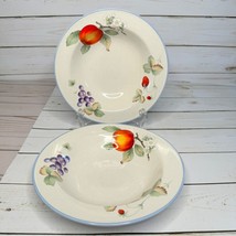 Savoir Vivre Luscious 8 1/4&quot; Soup Cereal Bowl Set of 2 Peaches Grapes JJ017 - $17.81