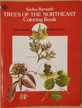 Trees of the Northeast Coloring Book - £3.51 GBP