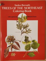 Trees of the Northeast Coloring Book - £3.38 GBP