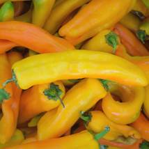 Corno DI Toro Giallo Pepper Seeds 30+ YELLOW Italian Sweet - £7.71 GBP