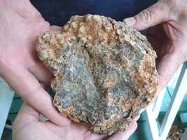 DF845-1) 4 Lb Fossil Real Dinosaur Poop Coprolite Dino Valley Utah Dung Poo Scat - £65.96 GBP