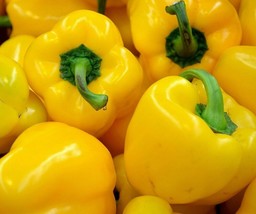 Yellow Bell Pepper Seeds 30 Canary Bell Pepper Gardening Beautiful USA SHIPPING - £4.83 GBP