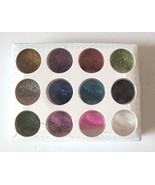 Ren Jie Glitter Powder Set Nail Decoration Art Manicure 12pcs Profession... - $10.78 CAD