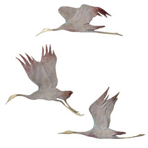 Set of 3 Flying Crane Wall Plaques - £208.43 GBP