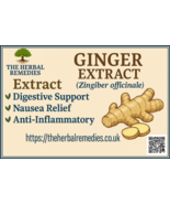 Ginger Extract (Zingiber officinale) - 50g - $22.24