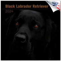 BLACK LABRADOR RETRIEVER Wall Calendar 2024 DOG PET Animal Lover Gift - £19.75 GBP