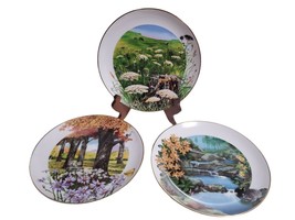 Vintage Royal Windsor Wildflowers of The South 9.25&quot; Collectors Plates -Set of 3 - £15.63 GBP