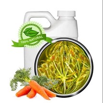 Carrot Seed Oil - 64oz - Virgin, Cold-pressed - £308.35 GBP