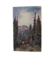 Postcard The Sublime Beauty Of The Rockies Colorado Chrome Unposted - $6.98