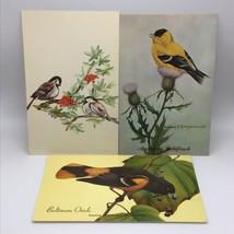 Vintage Bird Postcards Massachusettes Chickadee Baltimore Oriole Lot Of 3 - £7.90 GBP