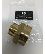 G Thread (Metric BSPP) Male to NPT Thread Female Fitting Adapter - 1/2&quot; ... - €12,76 EUR