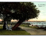 The Old Willow Bellport Long Island New York NY UNP Unused DB Postcard V17 - $14.80
