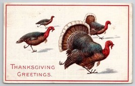 Thanksgiving Greetings Turkey Four Turkeys On The Run Postcard K28 - £5.45 GBP